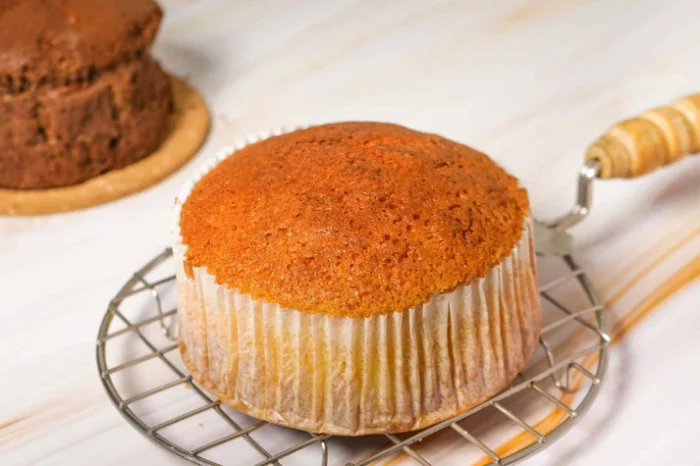kayani-bakery-plain-mawa-cake-rich-moist-authentic-pune-classic